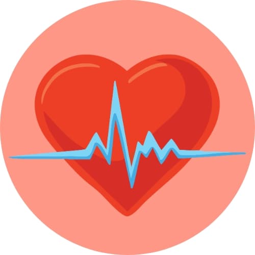 Health & Fitness